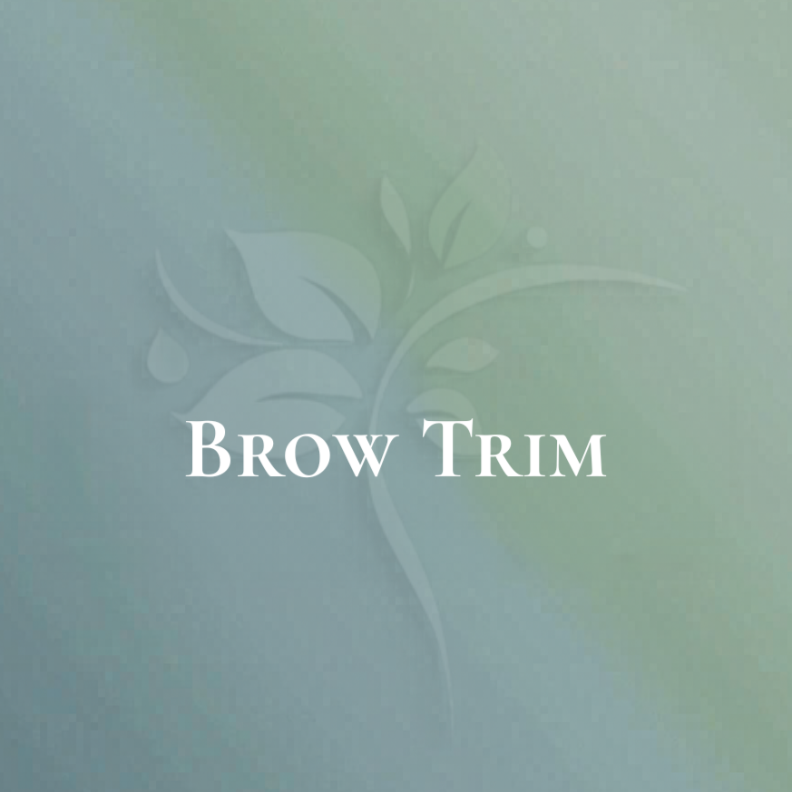 Brow Trim at Elysian Esthetics Spa in Loganville, GA