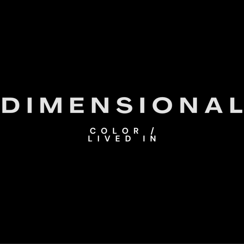 Dimensional Color | Lived In at Chanel Stylez in Englewood, CO