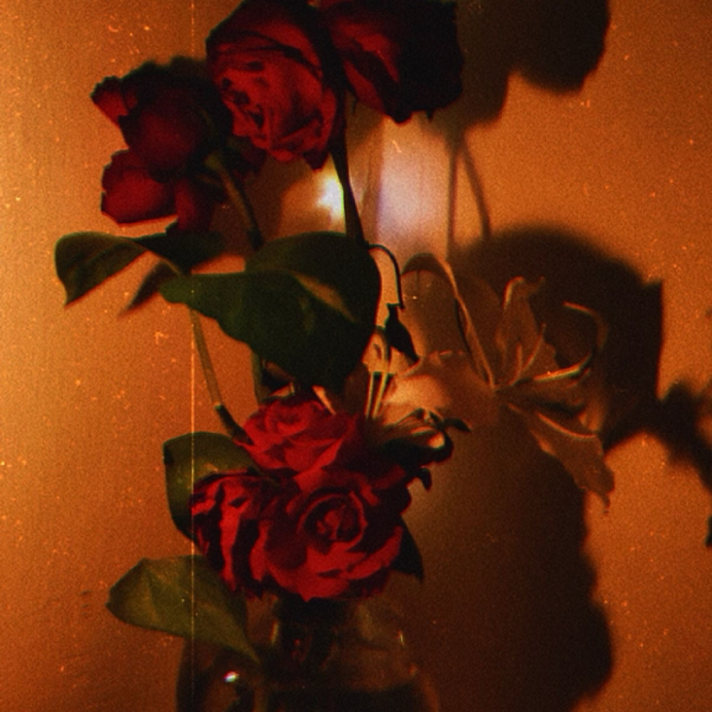 Luxury Underarms at Luminous Rose Waxing in Hurst, TX