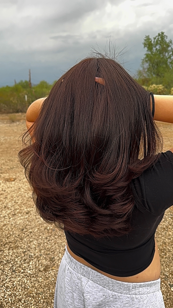 Full Color & Haircut