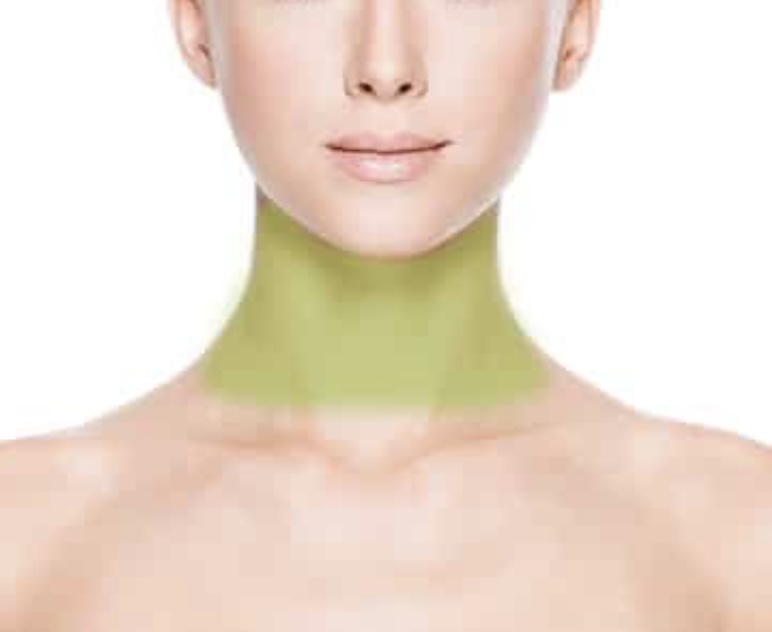Neck (Front) Or (Back)