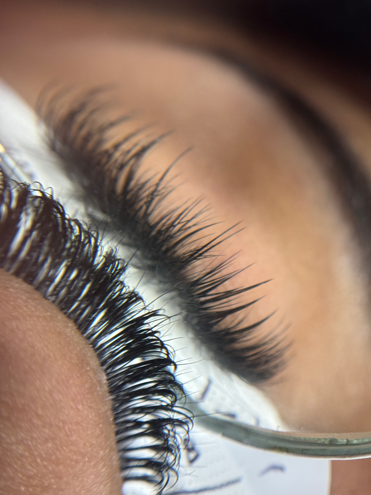 Lash Extensions