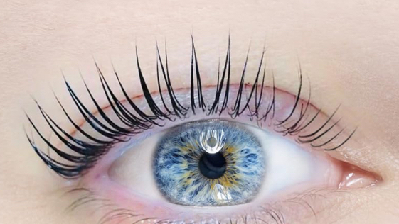 Lash Tint