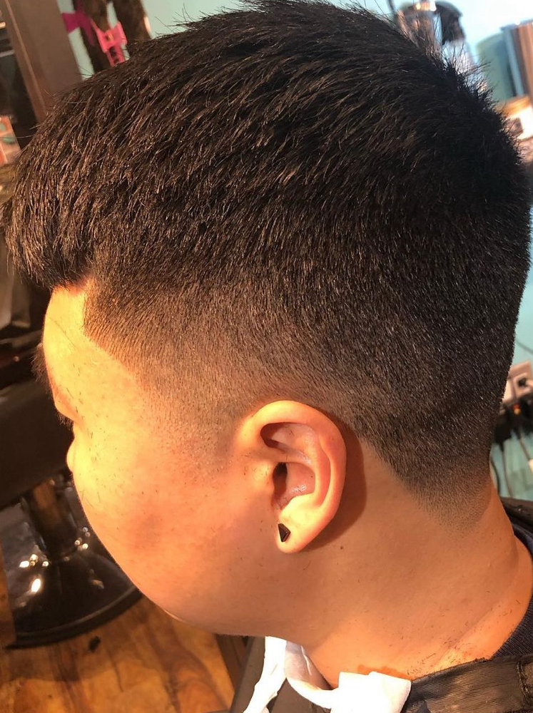 Clipper Cut/ Basic Fade