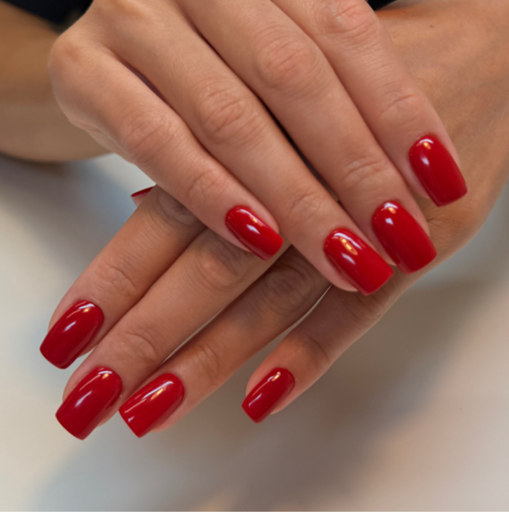 Nail Extensions (Short) at Nail Evolution in Reston, VA