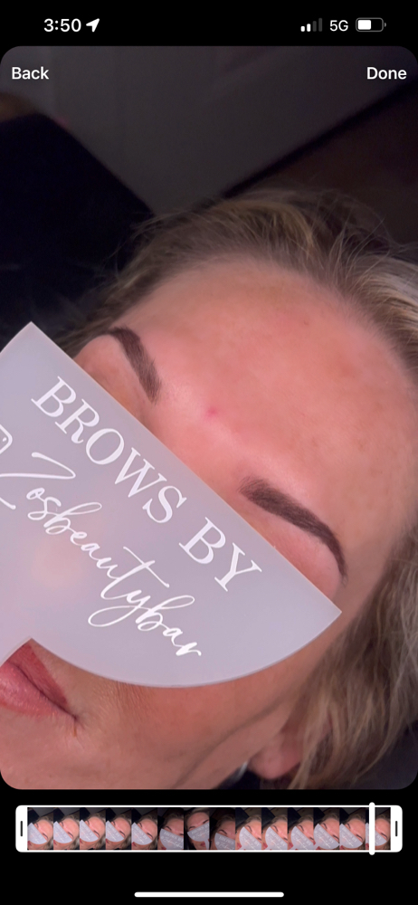 Brow Tint and Wax