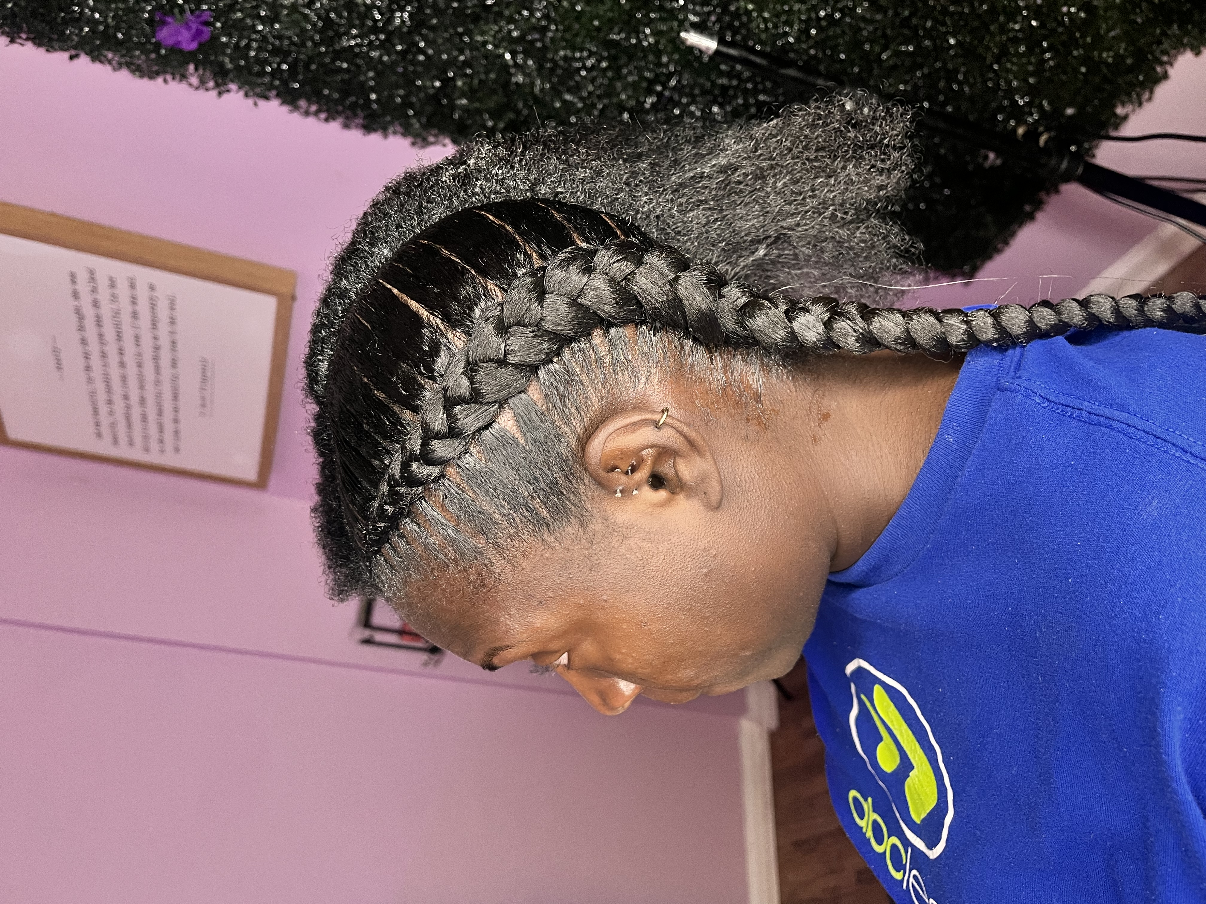 2 braids at Da Braid Bully in Martinez, GA