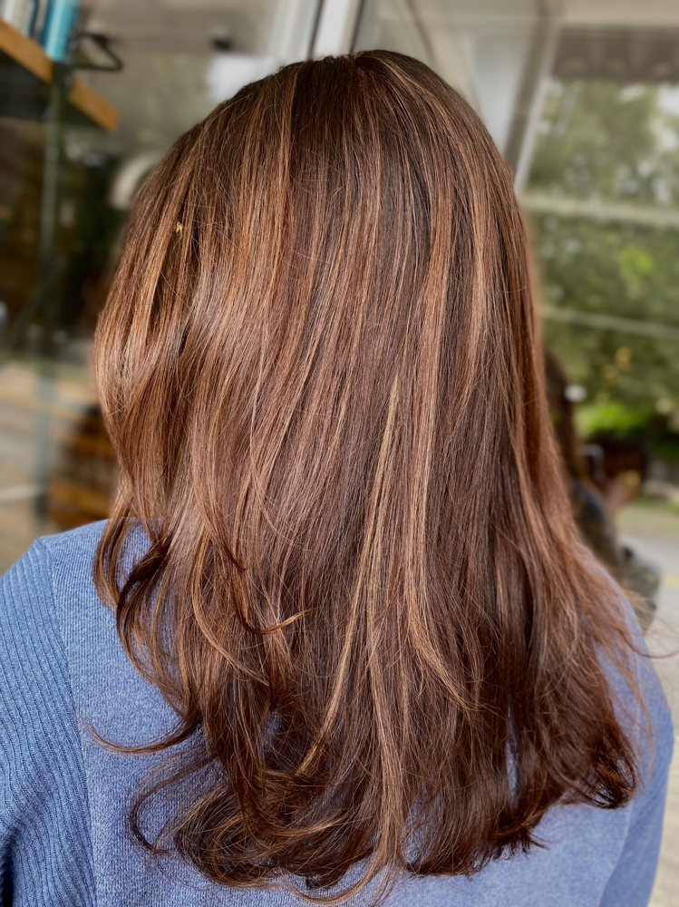 Partial Highlights at Shade Studio in Decatur, GA
