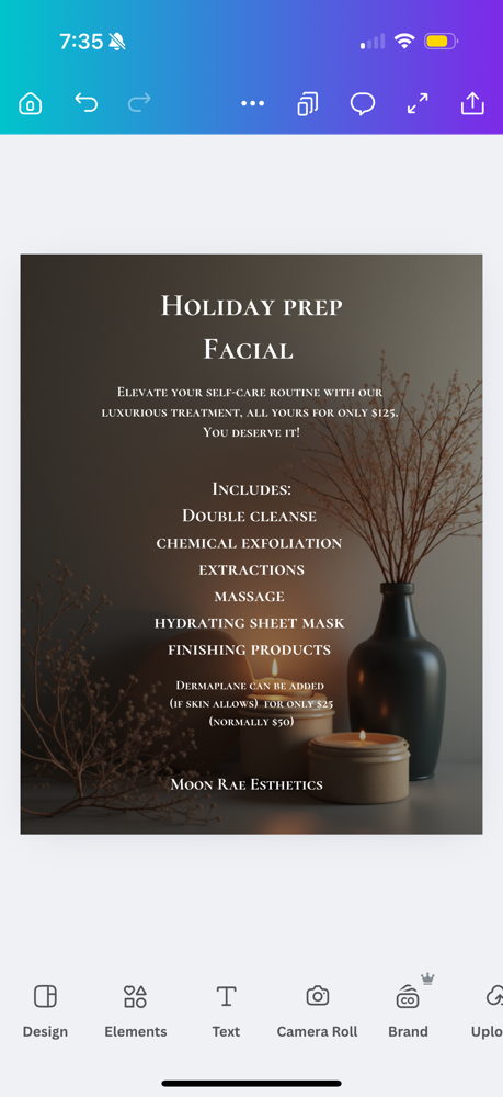 Holiday Prep Facial