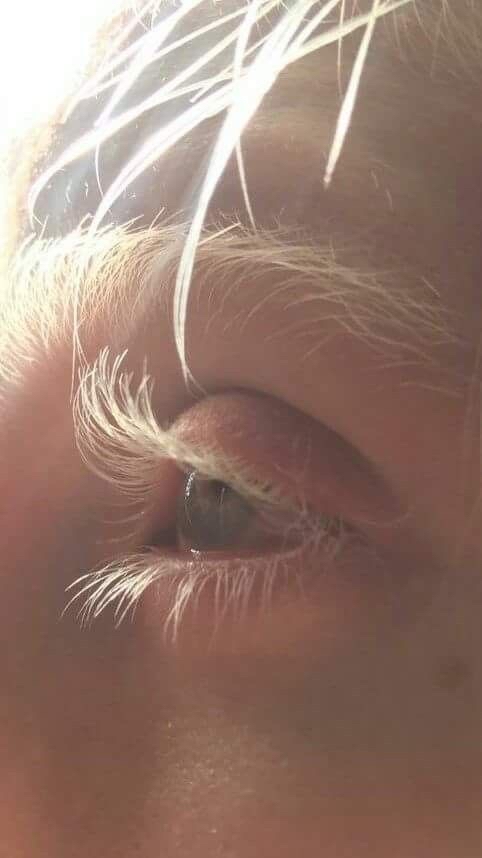 Lash Lift No Tint