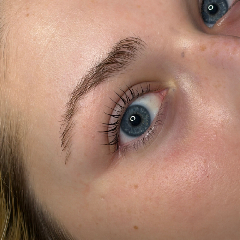 Lash Lift / No Tint or Tint at esthetics by claude in Yardley, PA