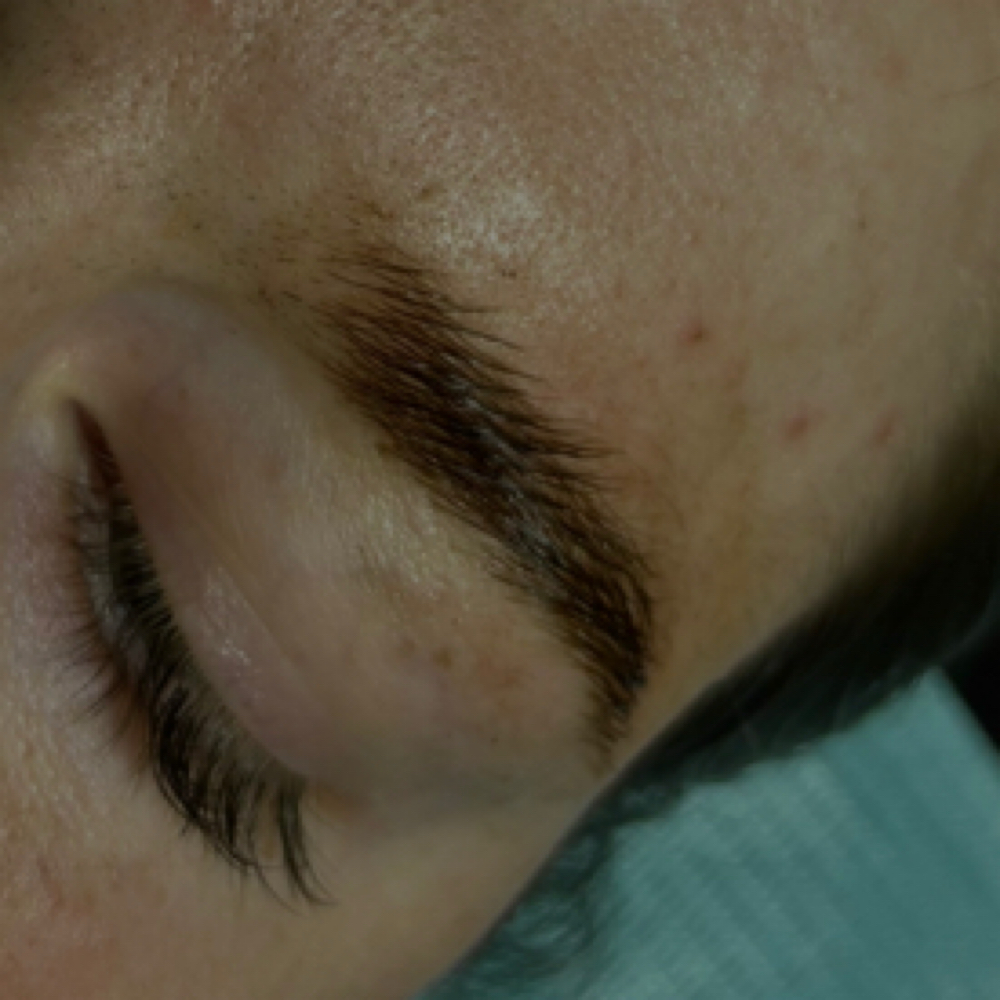 Brow Tint at Honey Whim Esthetics in Salt Lake City, UT