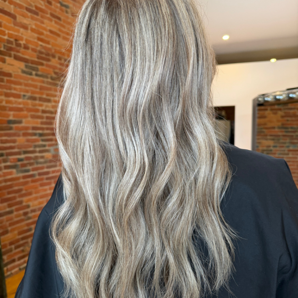 Full Highlight (AT) at Salon 23 in Monroe, MI