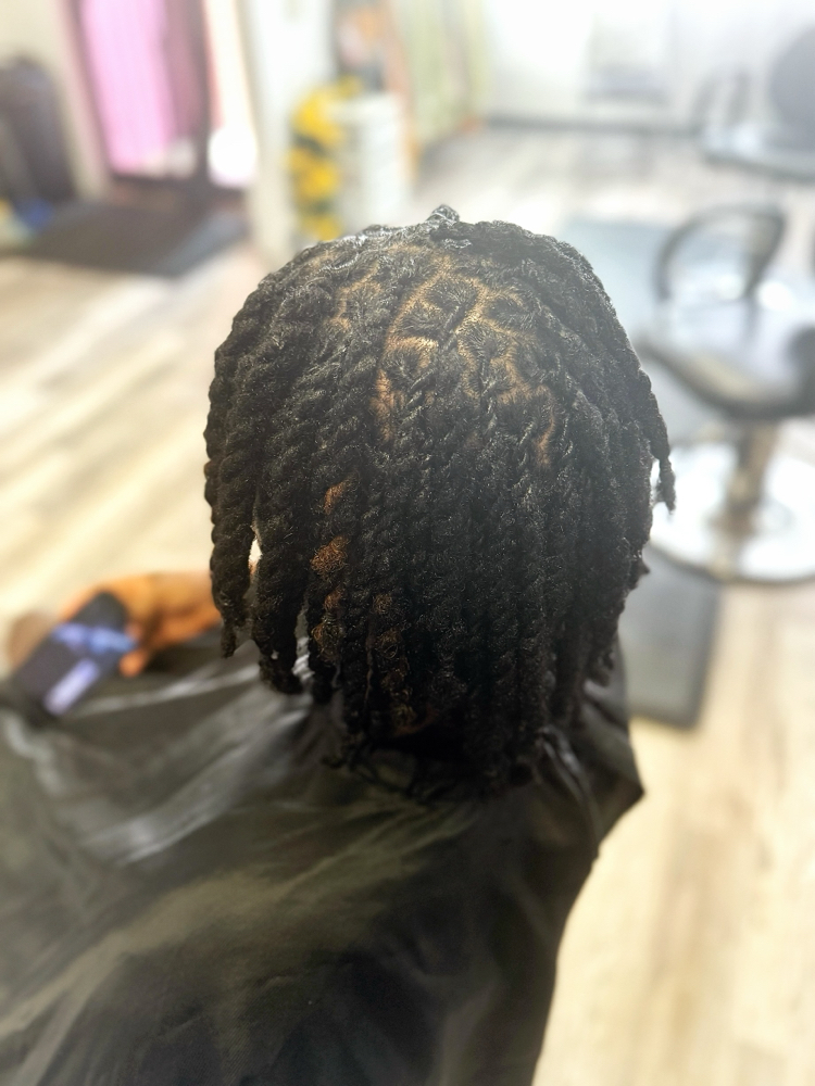 Loc 2 Strand Twist Touch-up