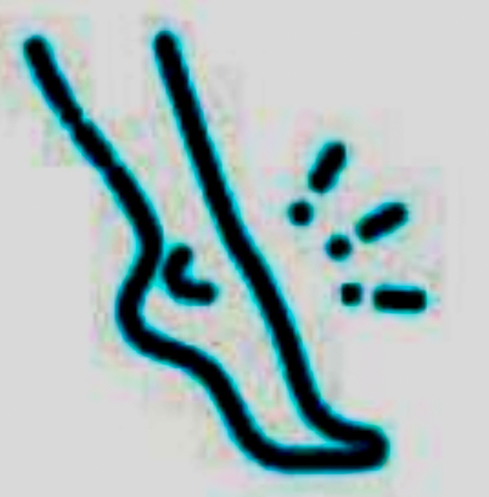 Lower Legs