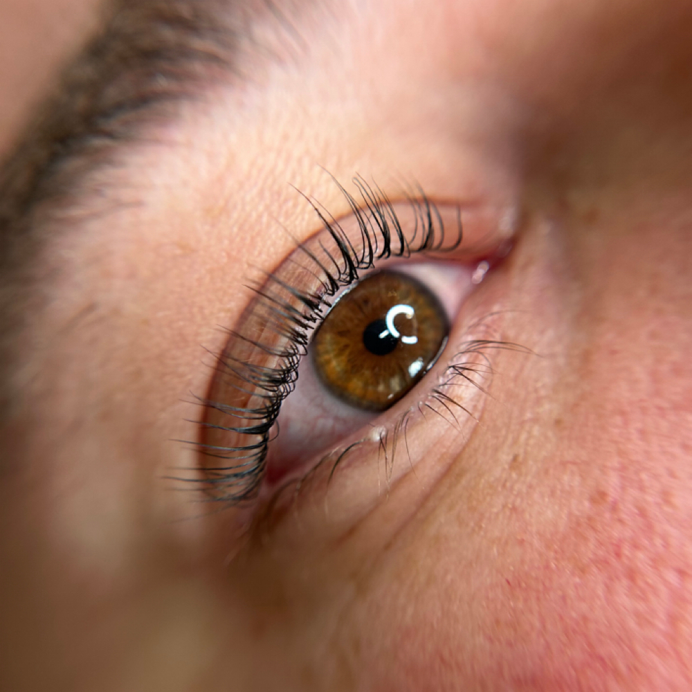 Korean Lash Lift + Tint