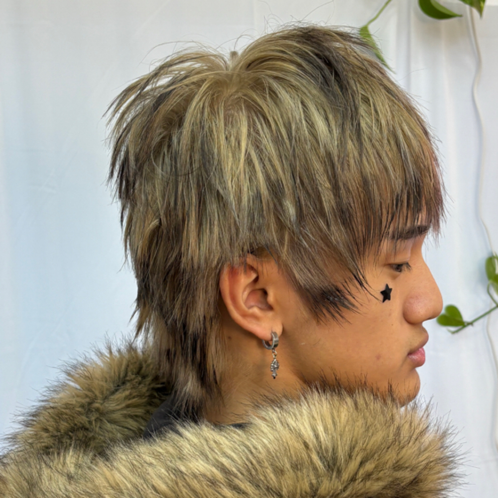 Wolf/Butterfly/Hush Cut Short at tifft.any in San Jose, CA