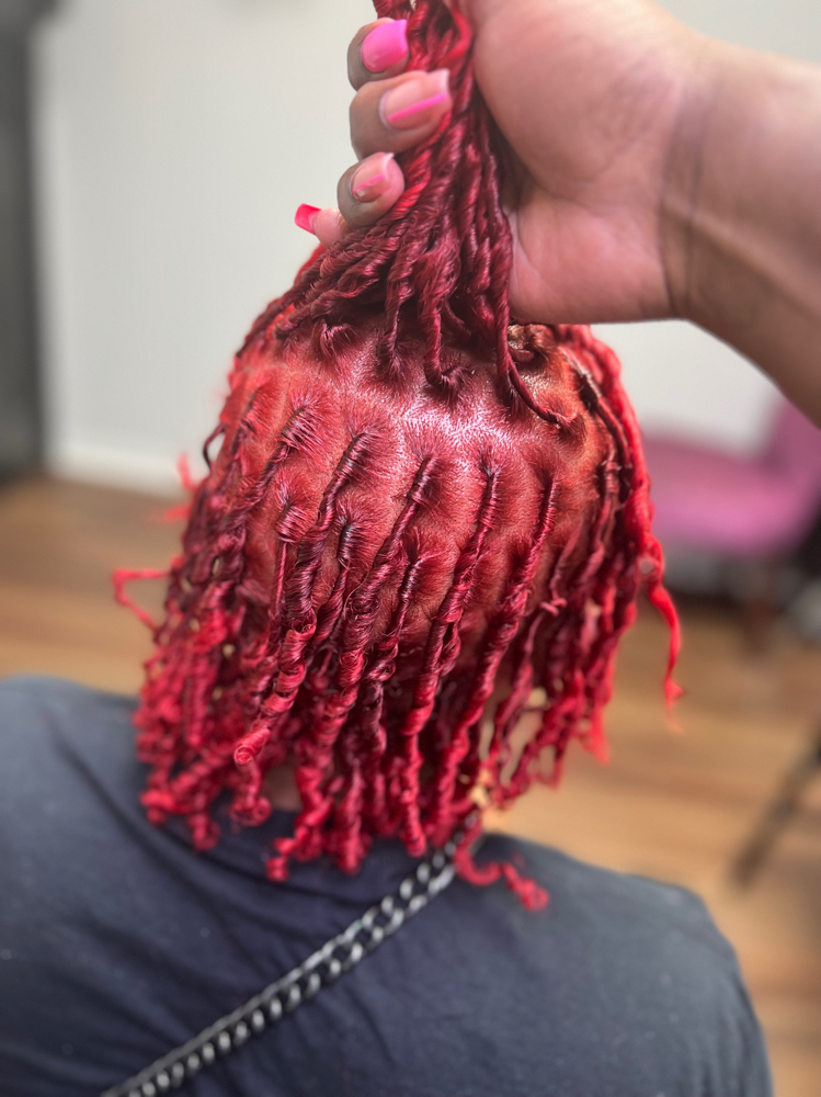 Comb Coils Starter Locs