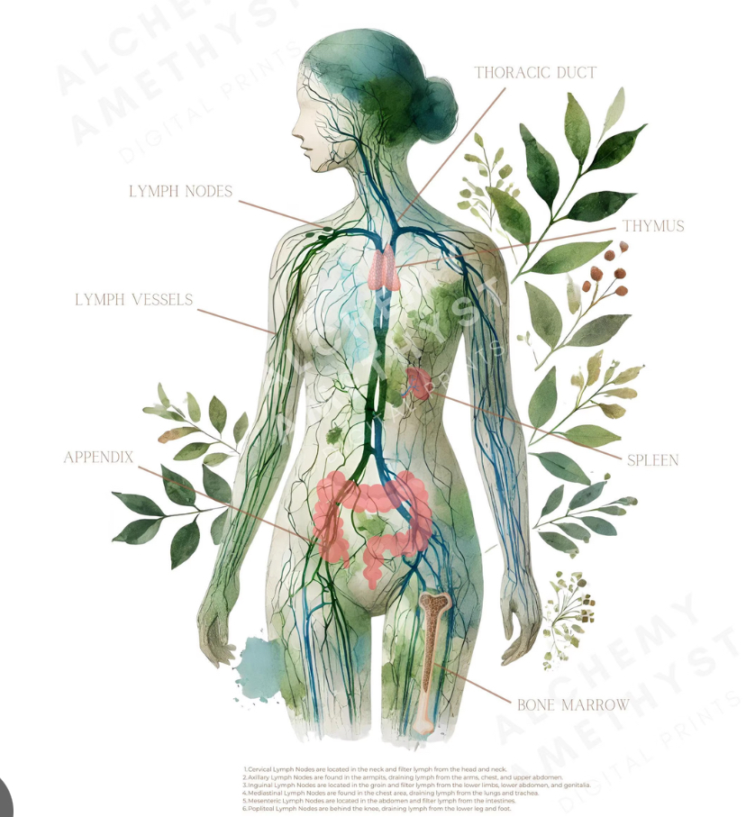 Lymphatic Massage
