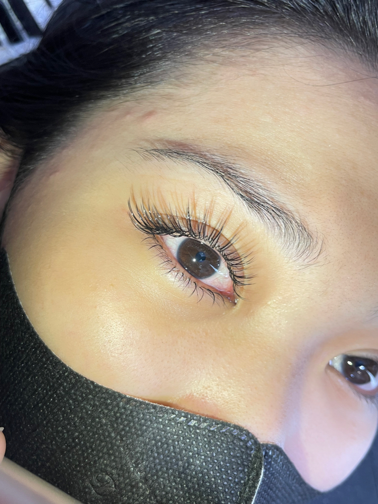 Classic Eyelash at Queenie Hair studio in Tampa, FL