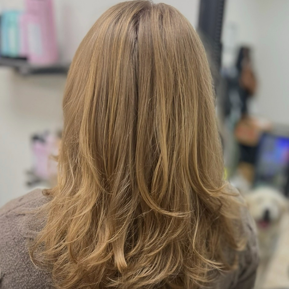 Women’s Haircut at Vivid Hair & Makeup Studio By Bailee Hunter in Green Bay, WI