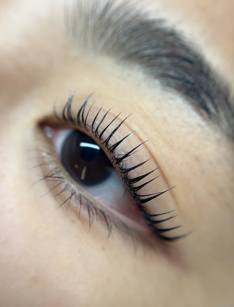 Lash Lift