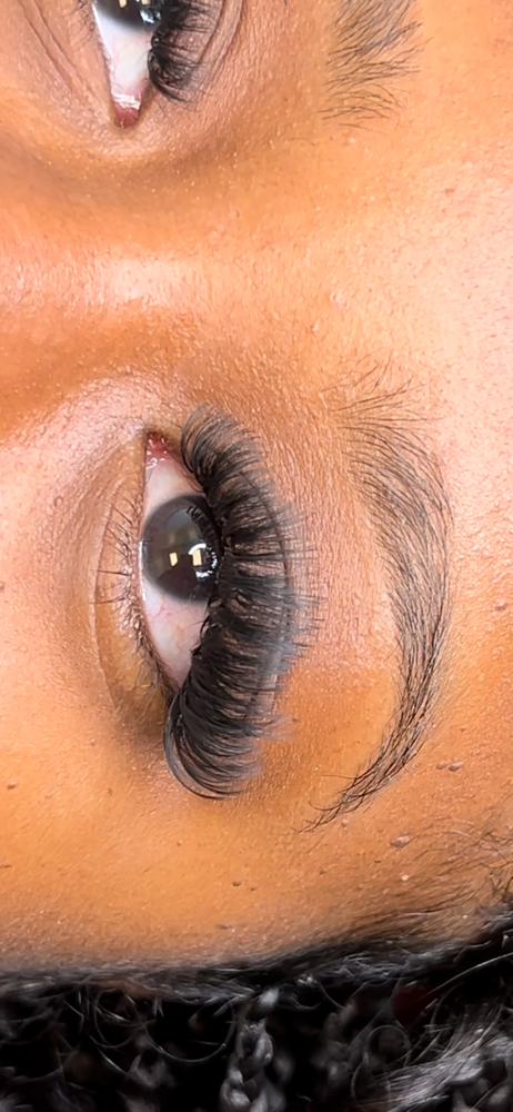 Eyelash Special $85