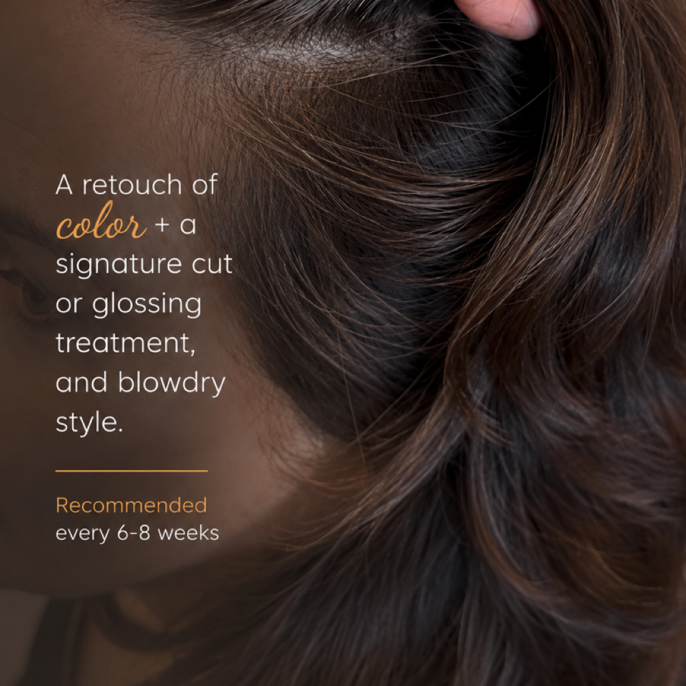 The Color Refresh at Sundara Hair Collective in Winston-Salem, NC