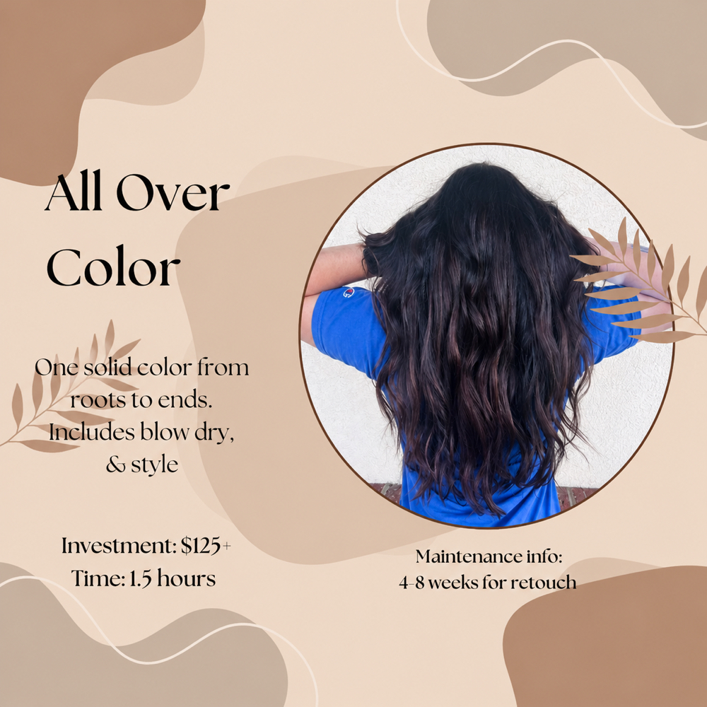 All Over Color at Honey Hair by Lynsey in Lillington, NC