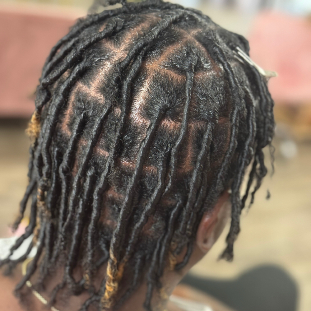 Adult Large Coil Starter Locs at Dee Did’em in Kinston, NC