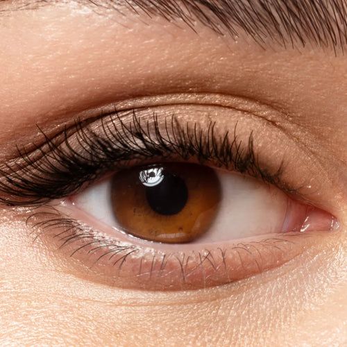 Eyelash 2-3D