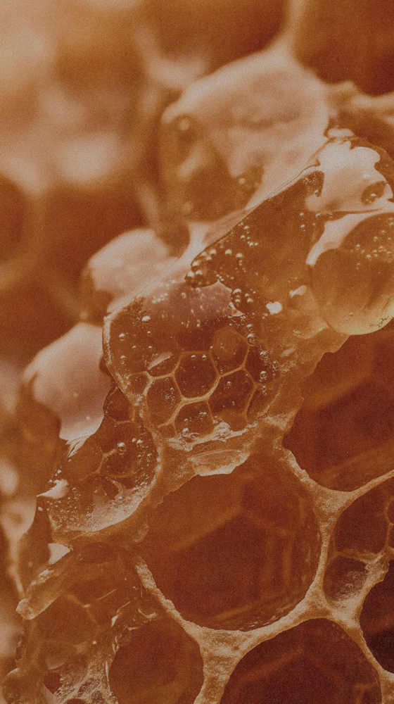 HONEY HARVEST SEPTEMBER FACIAL