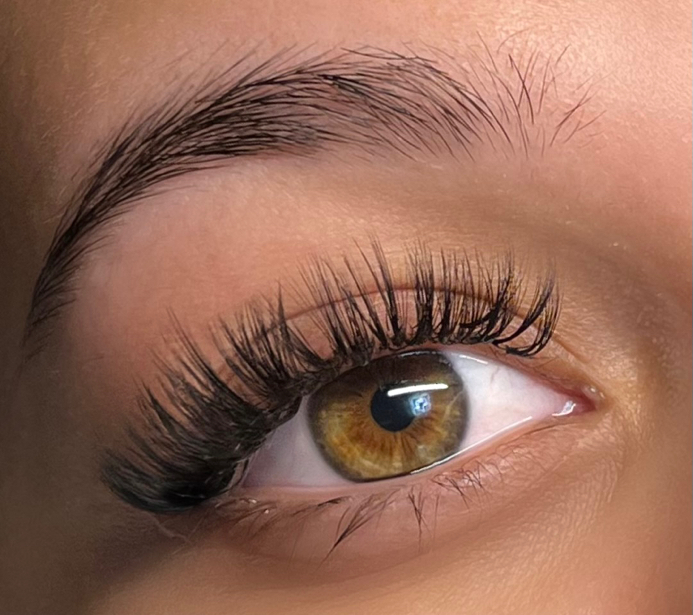 HYBRID LASHES