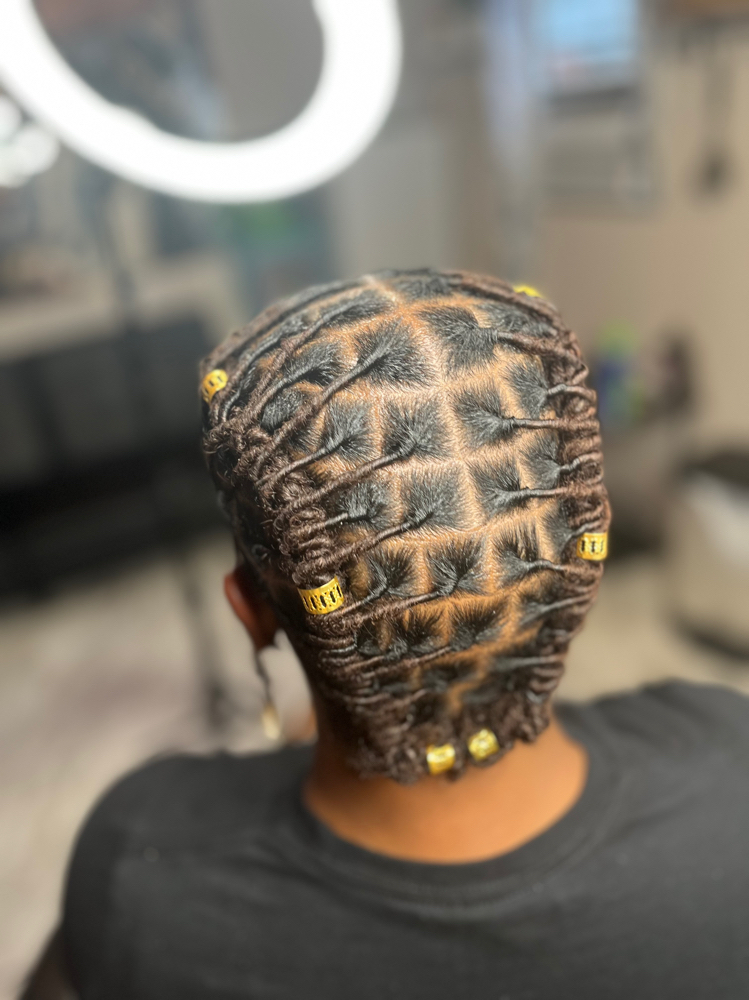 Starter Locs & Style