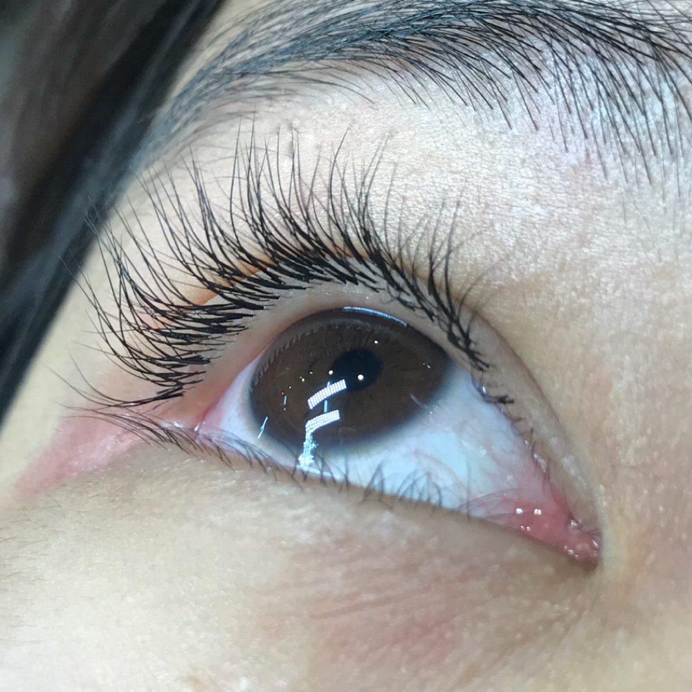 Natural full set at Lux Lash and Brow in Mansfield, TX