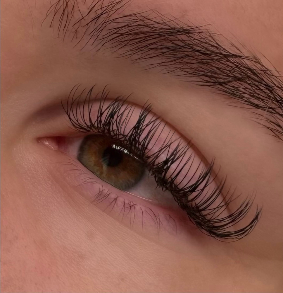 2-3 Week Classic Touch Up at Miranda Studio in Corodva, TN