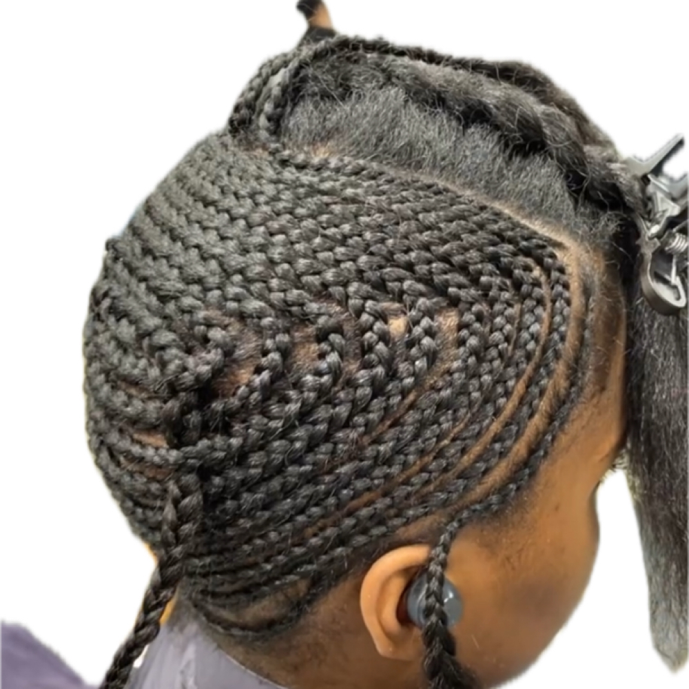 Wash, Blowdry & Braid Down at Quiana Brown in South Orange, NJ