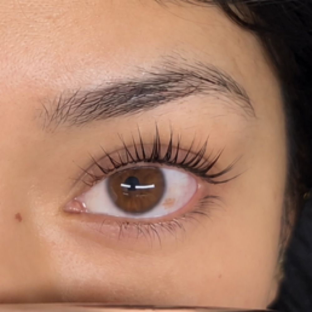 Korean Lash Lift + Tint + Aftercare at Socal Esthetix in Covina, CA