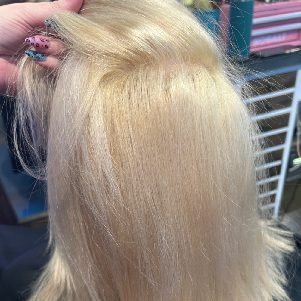Full Platinum Card at rEVAmped hair in Akron, OH