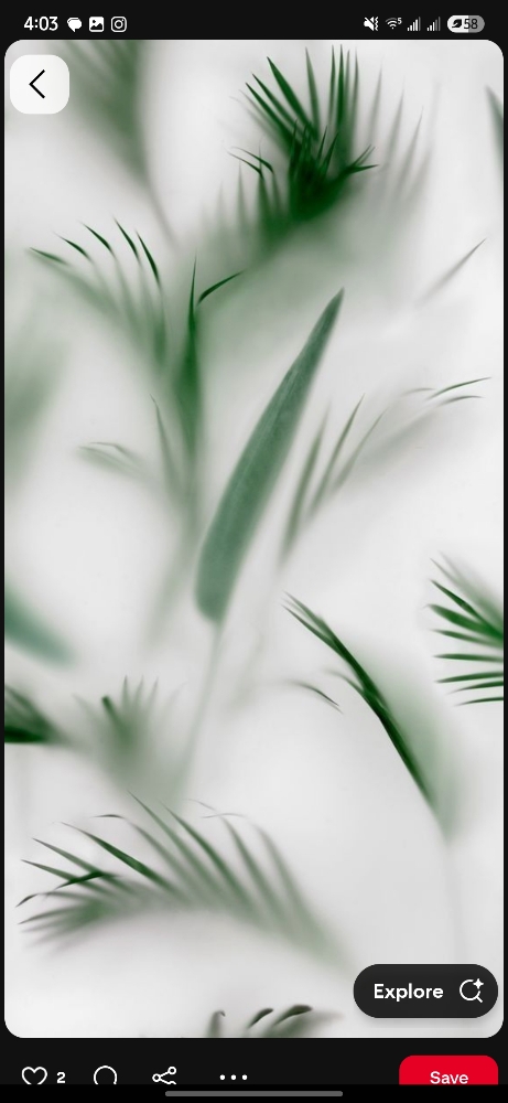 Solid Color Retouch