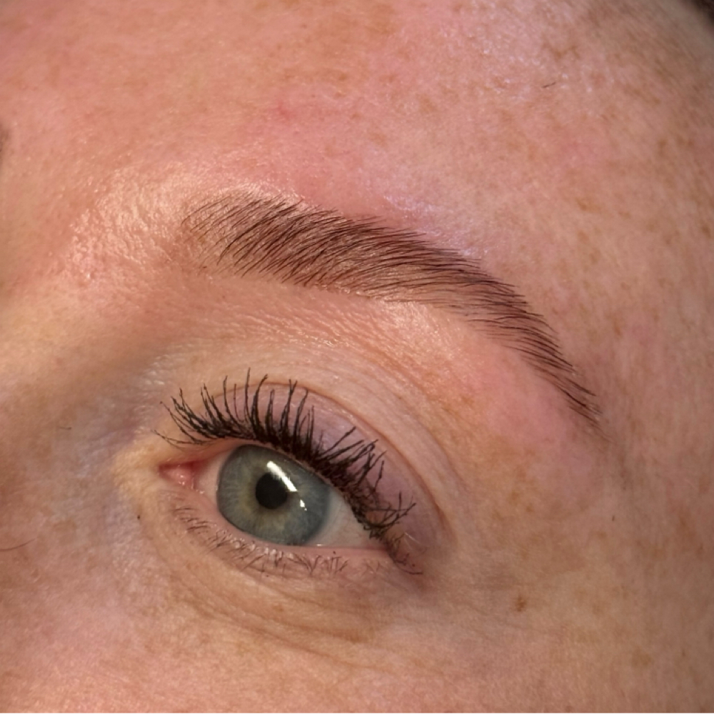 The Brow Trio at Silk + Skin Aesthetics in Tallassee, AL