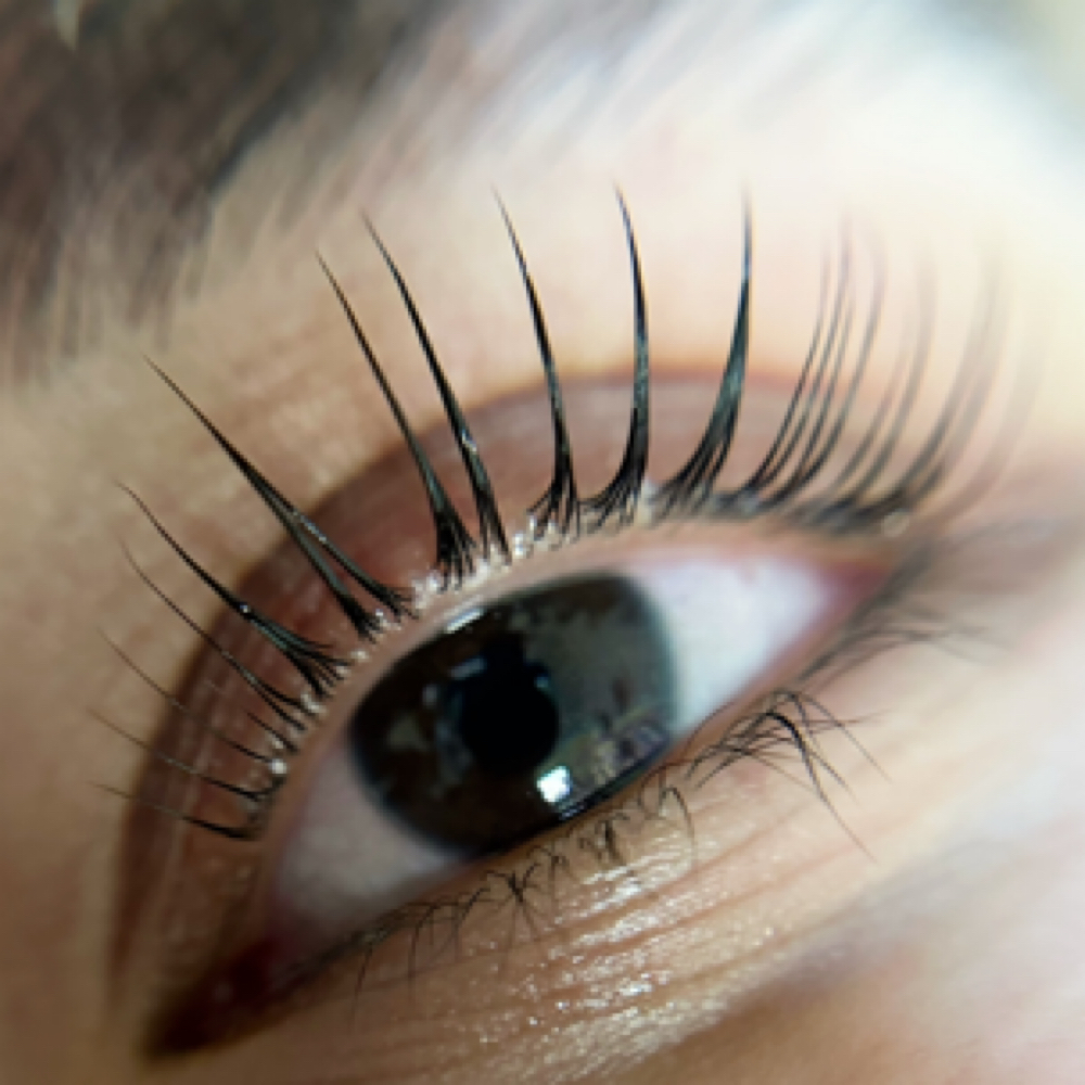 Korean Lash Lift at Elevated Aesthetic in Walnut Creek, CA