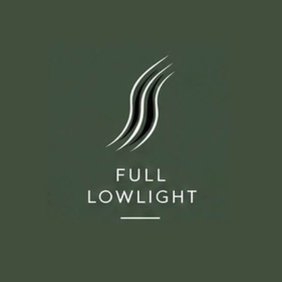 Full Lowlight at Cut and Color by Em in Mount Pleasant, SC