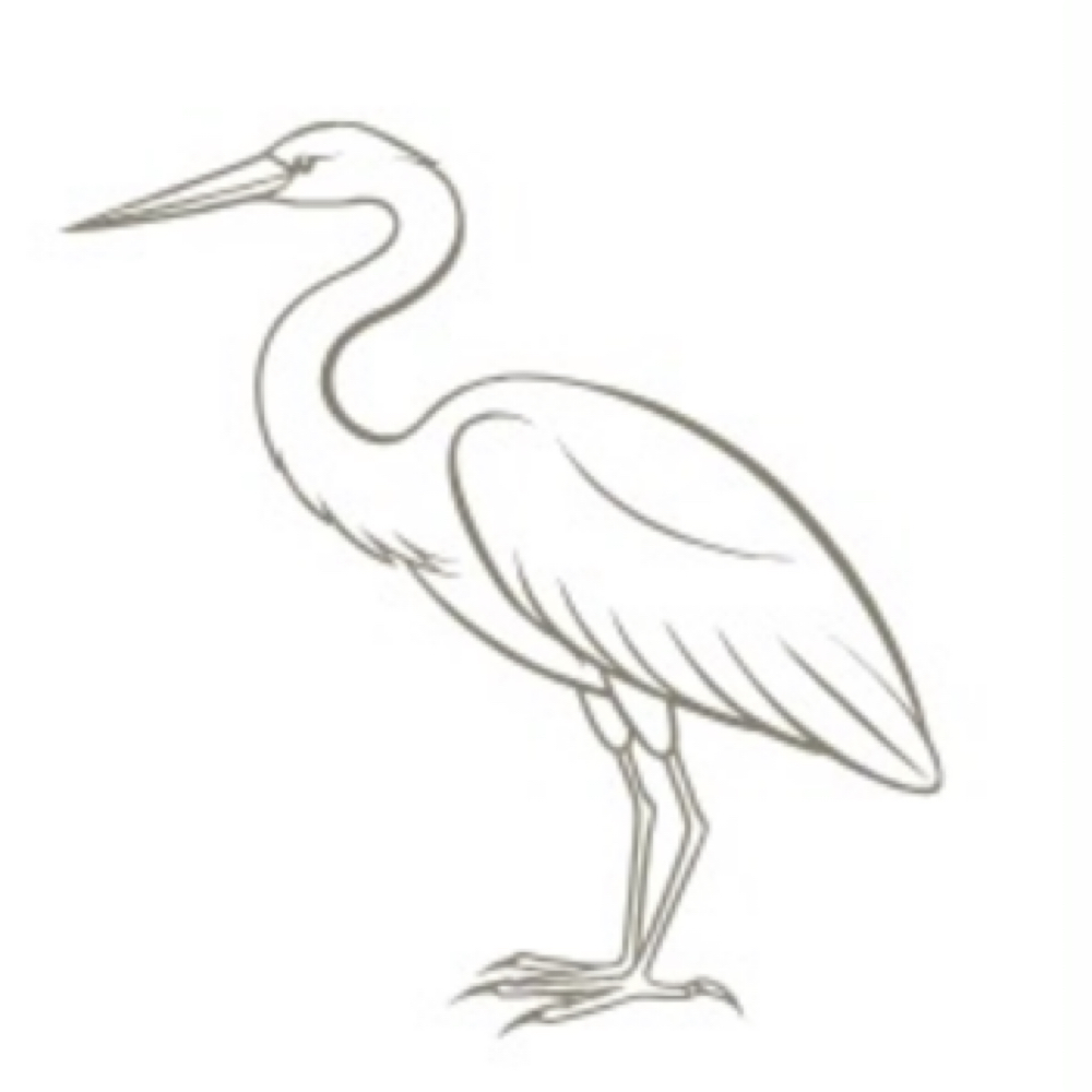 Color Consultation at Modish Salon in Duluth, MN