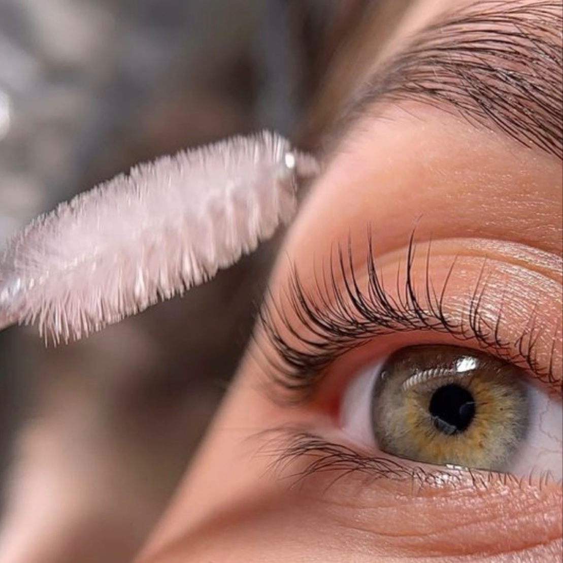 Lash Lift and Tint at Cove Aesthetics in Lexington, VA