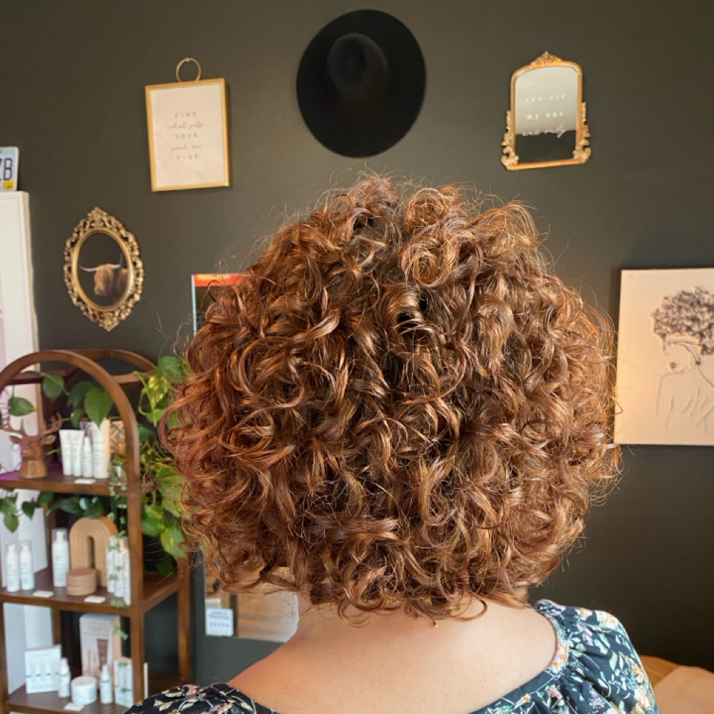 First Time Curly Client Package at Olivia Grace @House Of Style in Jefferson City, TN