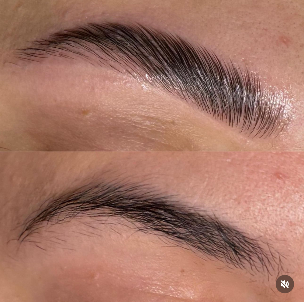 Eyebrow Lamination