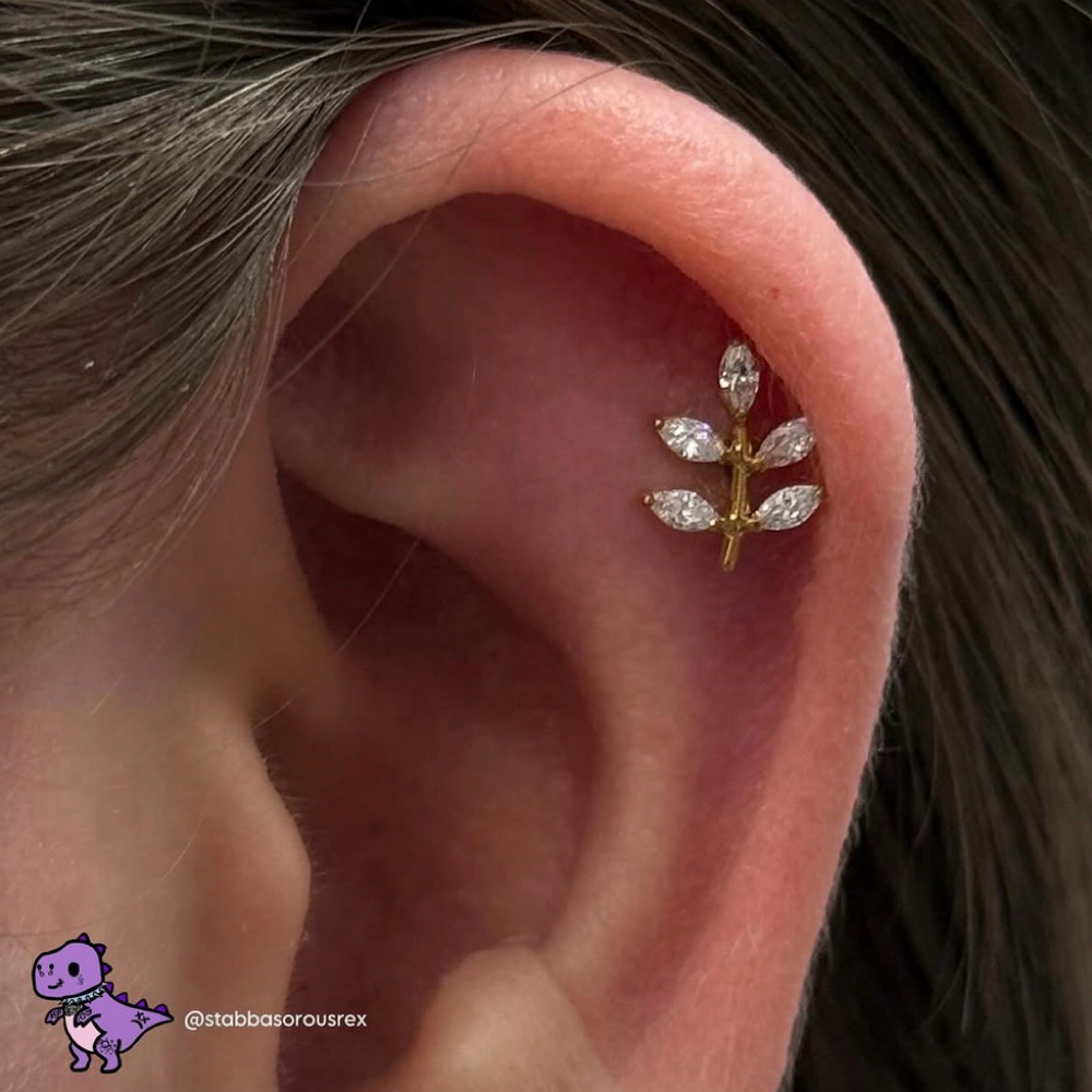 Helix at Vita Aurelia Piercings in Temecula, CA