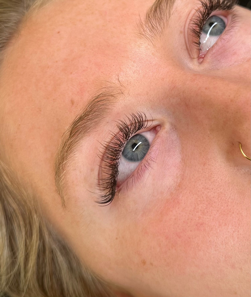 2 Week Brown Classic Lash Fill