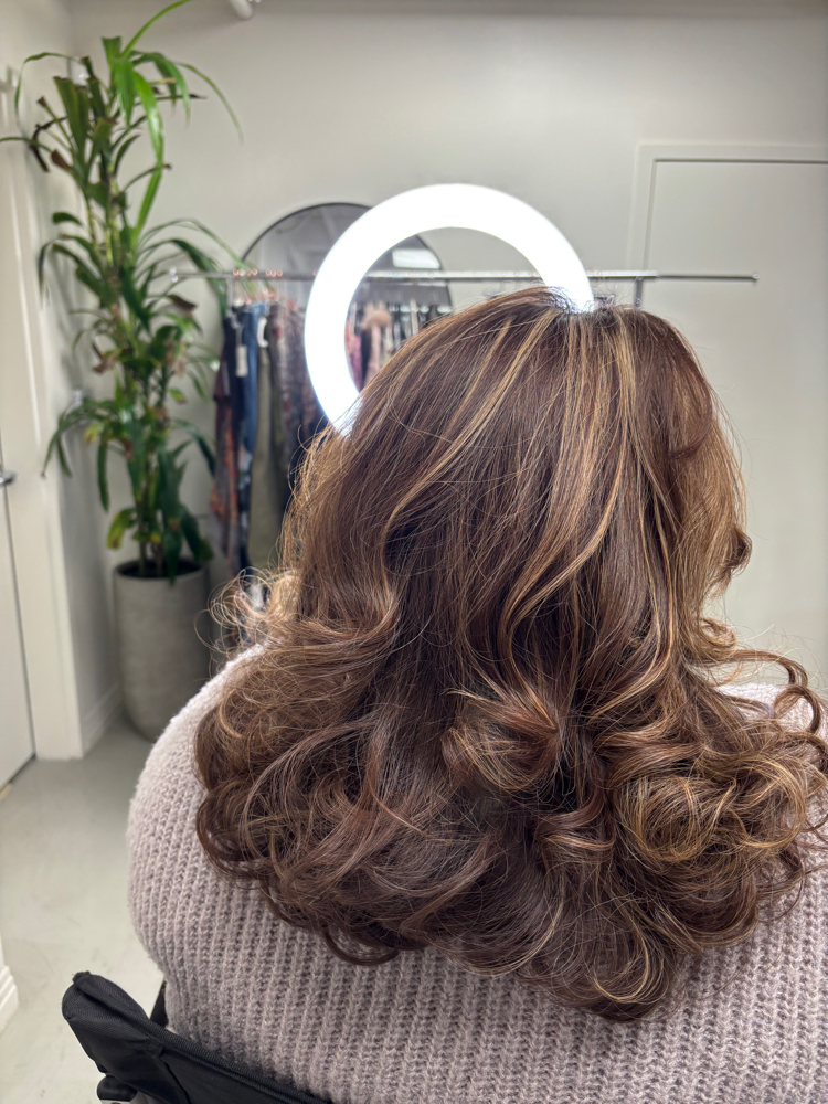 Blowout OR Dry Styling Do-and-Go